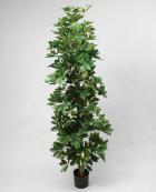 Mākslīgais augs - Schefflera 160cm