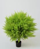 Искусственные растение -  Cupressus Ball Yellow 40 cm