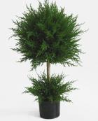 Искусственные растение -  Cupressus 160 cm