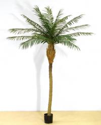 Искусственные растение - Phoenixpalm 200cm
